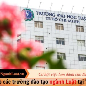 Tổng hợp các trường đào tạo ngành Luật tại Việt Nam