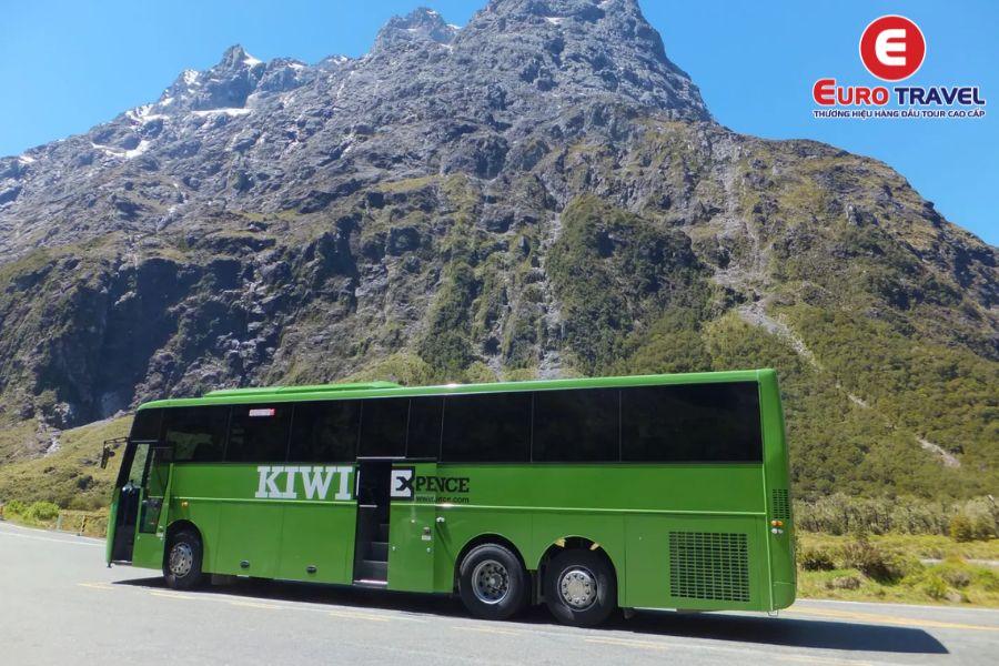 Xe bus là phương tiện phổ biến tại New Zealand
